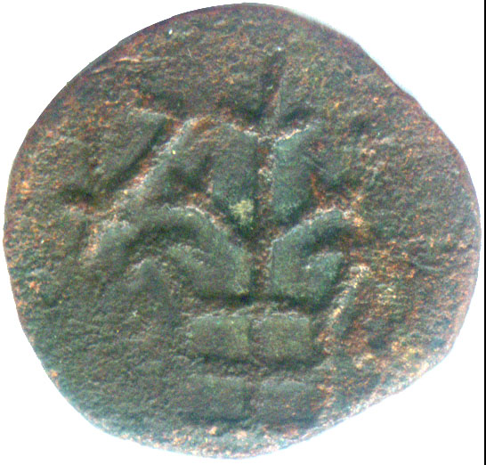 OBRW_H14_tree4c3bf_lsva_obverse